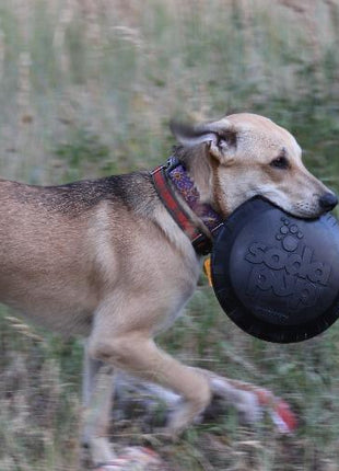 Magnum Bottle Top Flyer Rubber Frisbee for Heavy Chewers | Large | USA Made