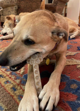 Flower Tower Nylon Chew Toy for Aggressive Chewers - USA Made Enrichment Toy