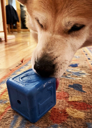 Love Cube eDispenser - Durable Rubber Chew Toy & Treat Dispenser | USA Made