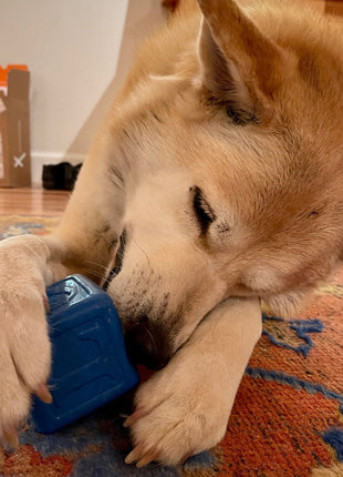 Love Cube eDispenser - Durable Rubber Chew Toy & Treat Dispenser | USA Made