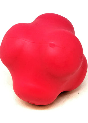 Crazy Bounce Rubber Dog Chew Toy for Power Chewers | Retrieving Ball | USA Made