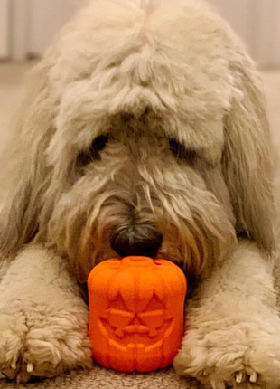 Jack O' Lantern Dog Toy - Durable Halloween Chew Toy for Large Dogs | USA Made
