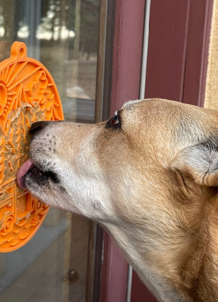 Camp eMat - Enrichment Lick Mat For Dogs and Cats - with Suction Cups | Retro Van Design | USA Made