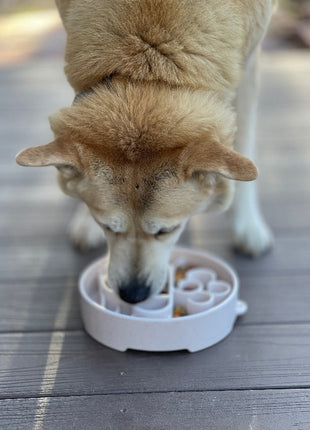 Java eBowl Deep Slow Feeder Dog Bowl for Enrichment | USA Made