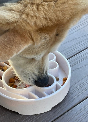 Java eBowl Deep Slow Feeder Dog Bowl for Enrichment | USA Made
