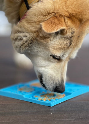 Sky eMat - Enrichment Lick Mat for Dogs and Cats | Celestial Design | SodaPup