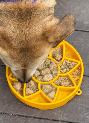 Sunflower eTray Shallow Slow Feeder Dog Bowl for Enrichment | USA Made