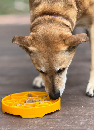 Sunflower eTray Shallow Slow Feeder Dog Bowl for Enrichment | USA Made