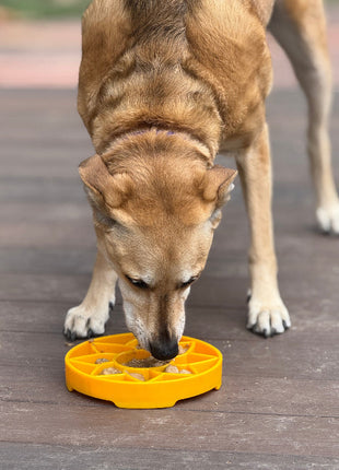Sunflower eTray Shallow Slow Feeder Dog Bowl for Enrichment | USA Made