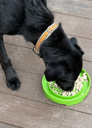 Garden Design eTray - Shallow Slow Feeder Dog Bowl for Enrichment | USA
