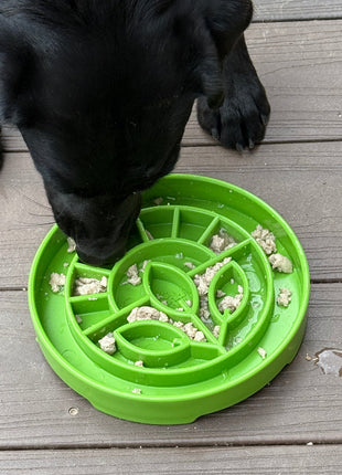 Garden Design eTray - Shallow Slow Feeder Dog Bowl for Enrichment | USA