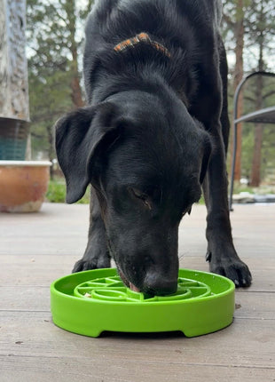 Garden Design eTray - Shallow Slow Feeder Dog Bowl for Enrichment | USA