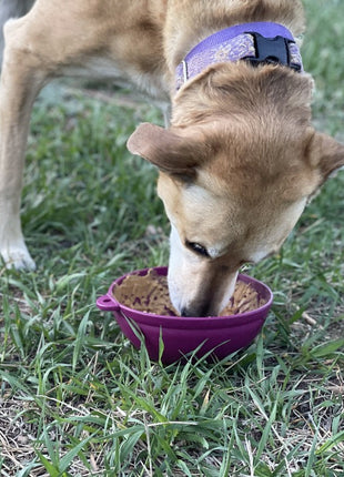 Garden of Eatin' Tipsy Bowl - Wobble Lick Mat for Dogs & Cats | USA Made