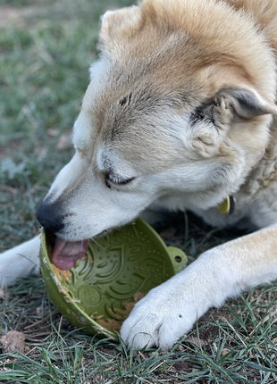 Garden of Eatin' Tipsy Bowl - Wobble Lick Mat for Dogs & Cats | USA Made