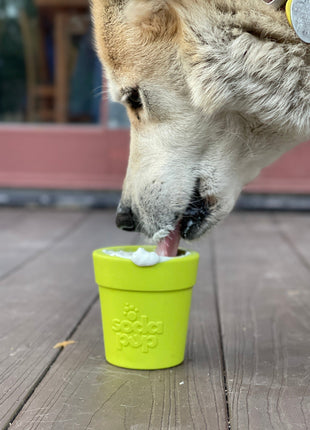 Large Flower Pot eCup Dog Treat Dispenser | Durable USA-Made Enrichment Toy | SodaPup