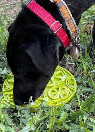 Citrus Design eMat - Enrichment Lick Mat For Dogs and Cats - with Suction Cups | USA Made