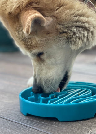Baja Design eTray - Shallow Slow Feeder Dog Bowl for Enrichment | USA Made
