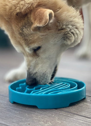 Baja Design eTray - Shallow Slow Feeder Dog Bowl for Enrichment | USA Made
