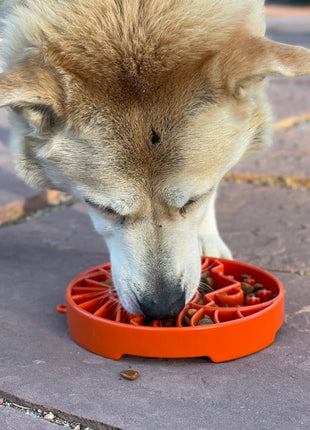 Sun and Moon eTray - Shallow Slow Feeder Dog Bowl for Enrichment | USA Made