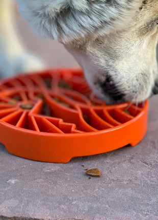Sun and Moon eTray - Shallow Slow Feeder Dog Bowl for Enrichment | USA Made
