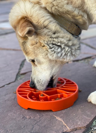 Sun and Moon eTray - Shallow Slow Feeder Dog Bowl for Enrichment | USA Made