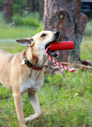 USA-K9 Firecracker Floating Training Dummy | K9 Handler Reward Toy | Red | USA Made