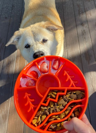 Great Outdoors eBowl - Slow Feeder Dog Bowl & Enrichment | USA Made