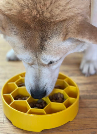 Honeycomb eBowl Deep Slow Feeder Dog Bowl for Enrichment | USA Made
