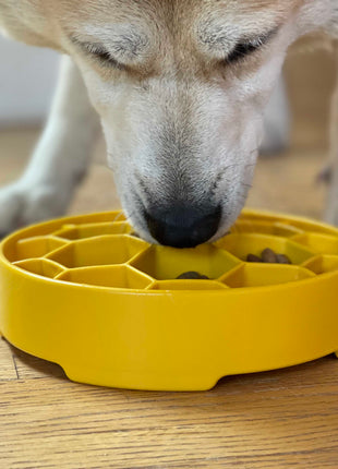 Honeycomb eBowl Deep Slow Feeder Dog Bowl for Enrichment | USA Made