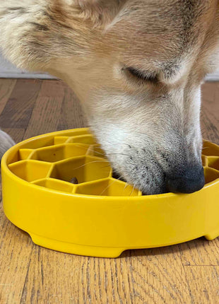 Honeycomb eBowl Deep Slow Feeder Dog Bowl for Enrichment | USA Made