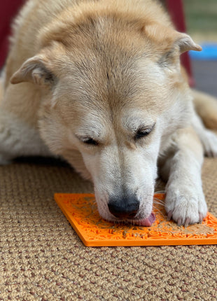 Zombie eMat - Enrichment Lick Mat for Dogs and Cats | Halloween Skull Design | SodaPup