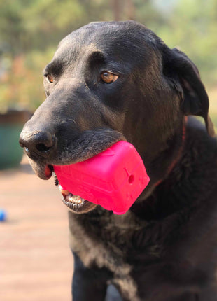 Surf's Up! Retro Van Dog Toy - Durable Chew Toy for Large Dogs | USA Made