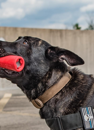 USA-K9 Firecracker Floating Training Dummy | K9 Handler Reward Toy | Red | USA Made