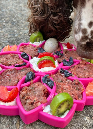 Mandala eTray Shallow Slow Feeder Dog Bowl for Enrichment | USA Made