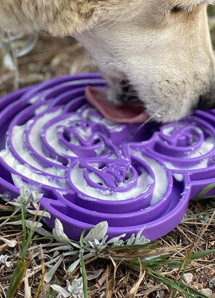 Water Frog eTray - Shallow Slow Feeder Dog Bowl for Enrichment | USA Made