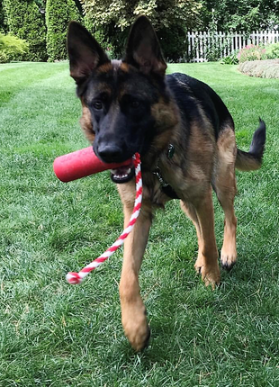 USA-K9 Firecracker Floating Training Dummy | K9 Handler Reward Toy | Red | USA Made