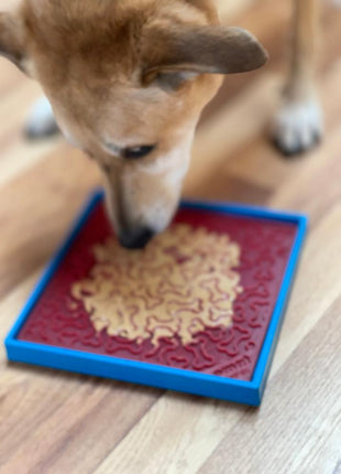 Hold 'em Suction Cup Holder for Dog Bowls & Lick Mats | USA Made