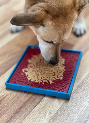 Hold 'em Suction Cup Holder for Dog Bowls & Lick Mats | USA Made