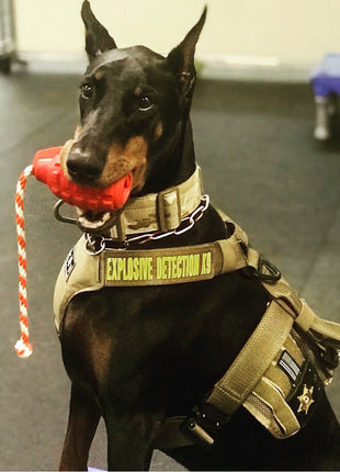 USA-K9 Magnum Grenade - Black Magnum Rubber Chew Toy for Extreme Chewers | USA Made