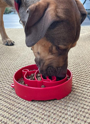 Santa Christmas eBowl Deep Slow Feeder Dog Bowl for Enrichment | USA Made