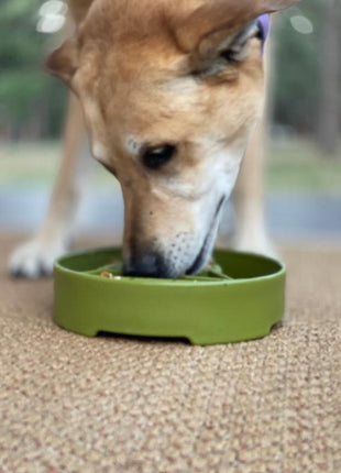 Pine Tree Christmas eBowl Deep Slow Feeder Dog Bowl for Enrichment | USA Made