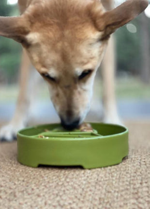 Pine Tree Christmas eBowl Deep Slow Feeder Dog Bowl for Enrichment | USA Made
