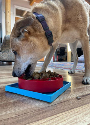 Hold 'em Suction Cup Holder for Dog Bowls & Lick Mats | USA Made