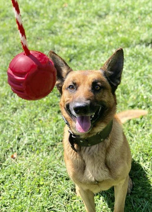 USA-K9 Stars and Stripes Rubber Dog Toy | K9 Handler Reward Toy | Red | USA Made
