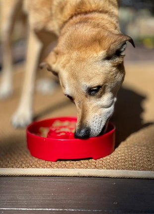 Santa Christmas eBowl Deep Slow Feeder Dog Bowl for Enrichment | USA Made