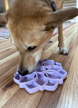 Mandala Softie eTray Shallow Slow Feeder Dog Bowl with Suction Cups |  USA Made