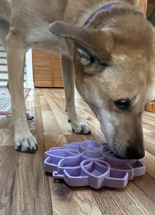 Mandala Softie eTray Shallow Slow Feeder Dog Bowl with Suction Cups |  USA Made