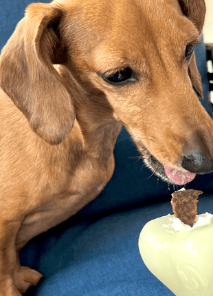 Dog Treat Dispensers