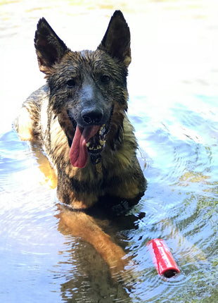 USA-K9 Firecracker Floating Training Dummy | K9 Handler Reward Toy | Red | USA Made