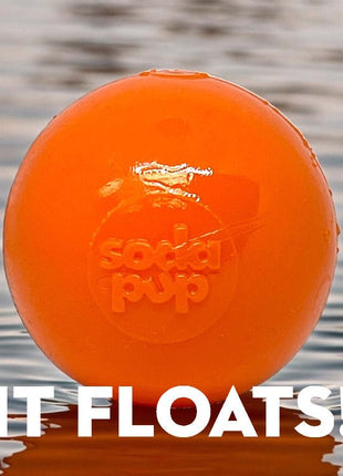 Squeak Ball - Durable Squeaky Dog Toy, Floats, Chew Toy | USA Made
